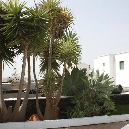 فيلة Illiana La Asomada (Lanzarote)